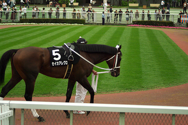 多规格视频